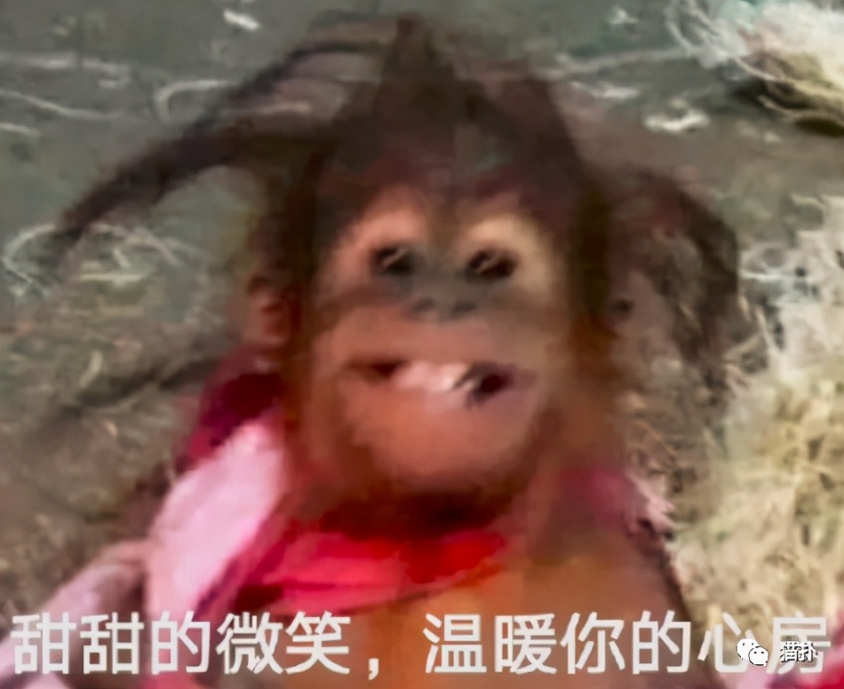 Does the girl give boudoir honey to take a picture with this kind of pose? The friendship that this looks even if spends a lot breaths out Hahahaha