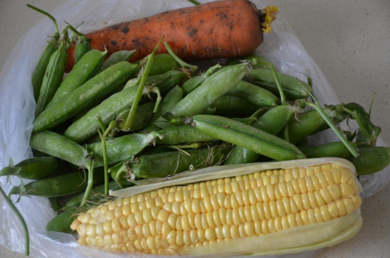 隔夜的剩米饭也能玩出新花样，做出来颜色鲜艳的炒饭，太香了