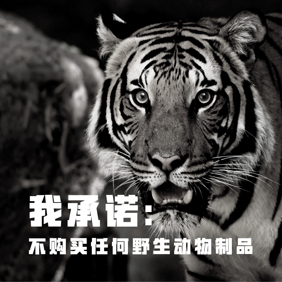 疫情未结束，另一场席卷70亿人的危机还在发生