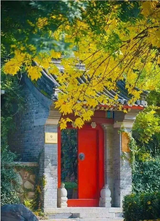 民宿设计：院子里的中国色，美过千年