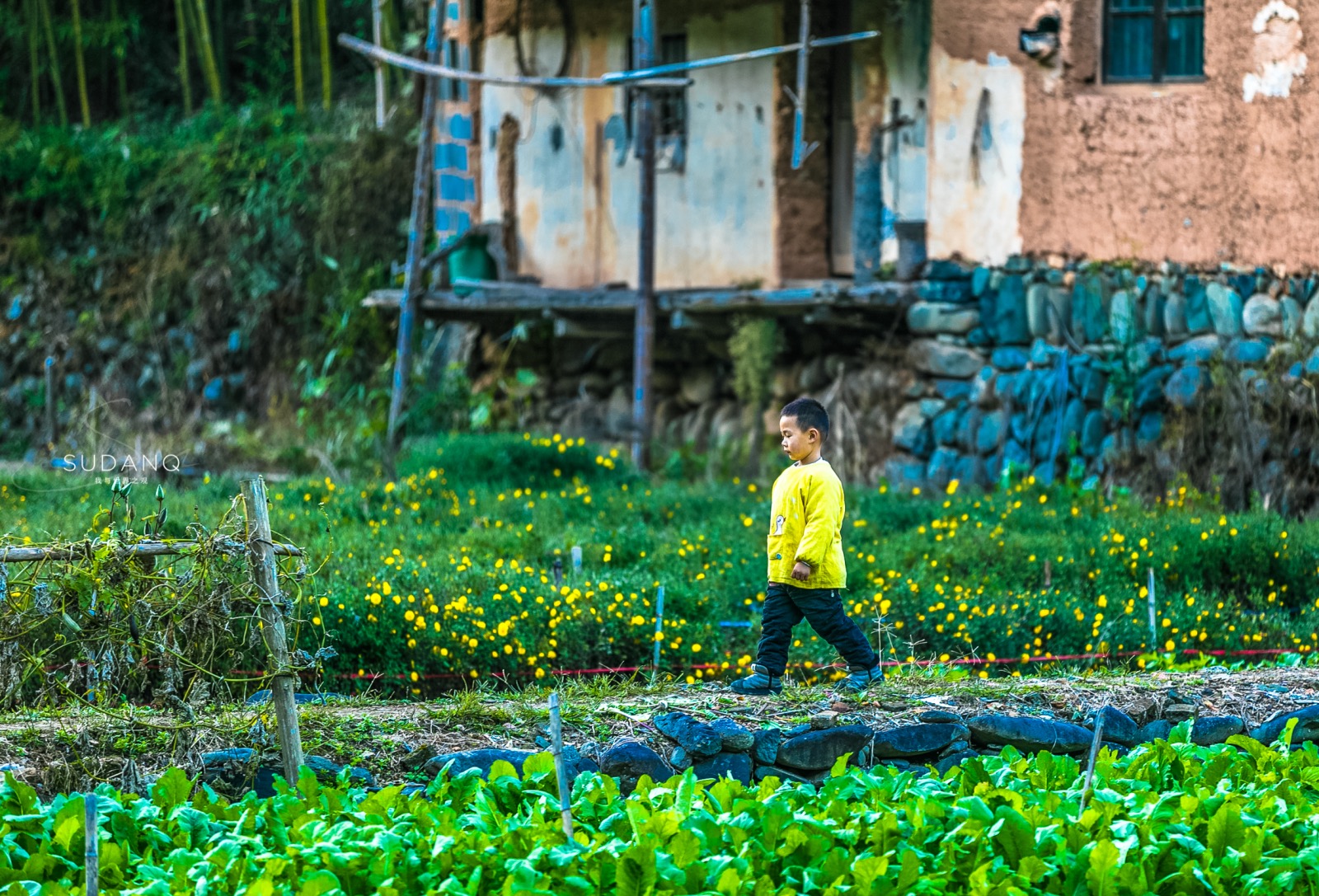 I've been obsessed with my life, I want to go to Huizhou: Recommend an ancient village that you have never heard of