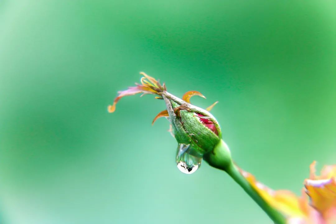 洞穿现实的诗词句子，年龄越大，越要明白这些道理-第1张图片-诗句网