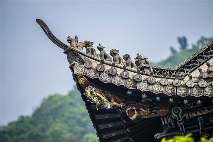 燕子不進“苦寒門”，它們是如何分辨“窮人”和“富人”的？