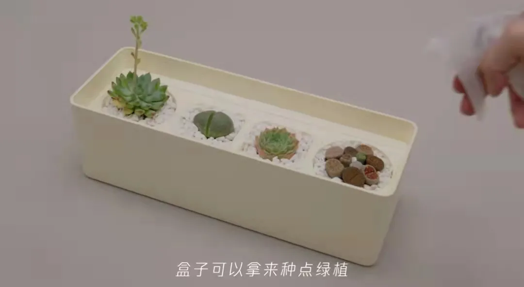 腾讯25万份中秋月饼,包装盒竟是甘蔗渣做的,获