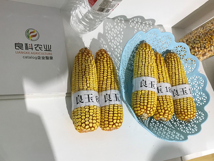 中國銀行陜西省分行在楊凌發(fā)放陜西省首筆種業(yè)信用貸款