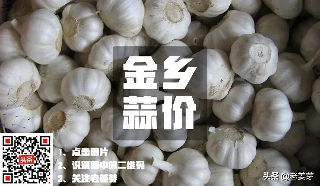 2020年5月27日金乡大蒜价格行情(库蒜落价)