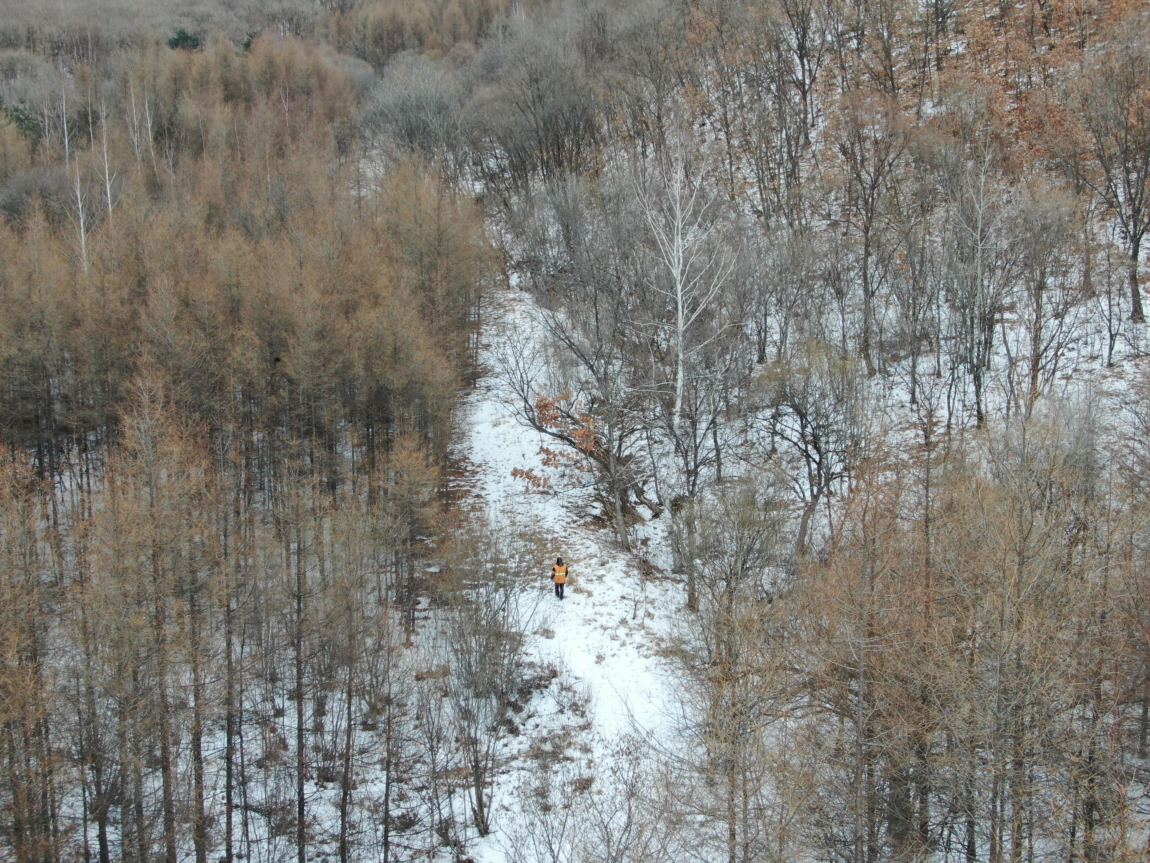 守护绿水青山