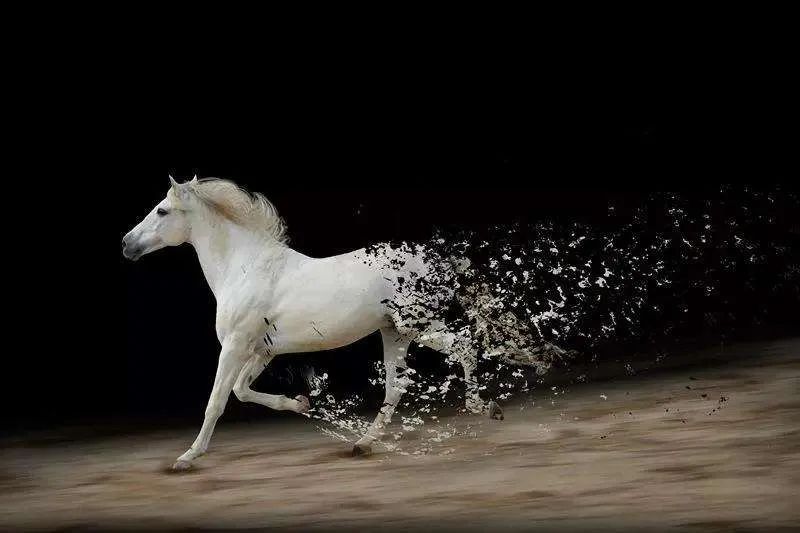 Outstanding achievement deficit already became bright brand, shanghai airport why does one word drop stop? Did core capital logic change? 