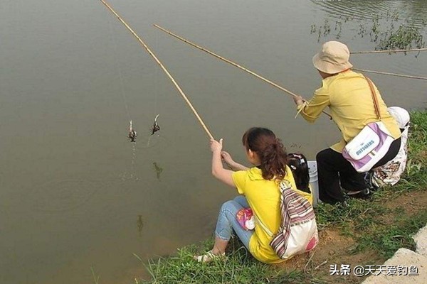 小龙虾的垂钓技巧,带娃必学的“神技”