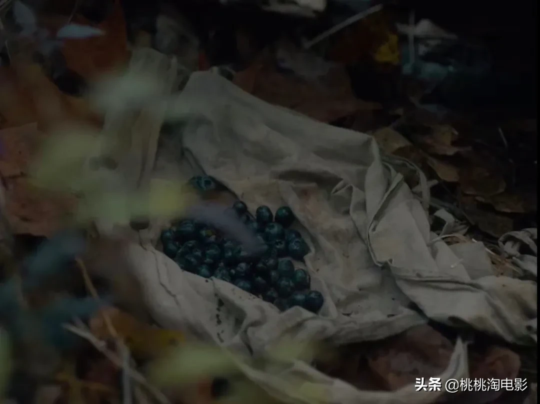 今年最爱的片子来了,这才是电影啊