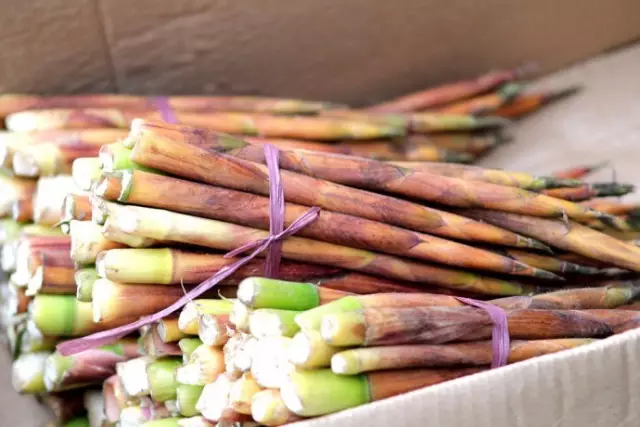 農村常吃的40種· 野菜，能治病能解饞，你吃過幾種呢？