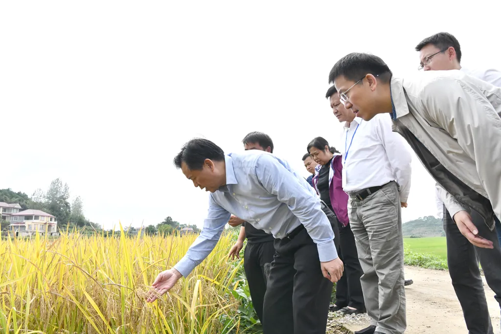推动适度规模经营提升发展能力水平省市人大代表专题视察全市农民专业合作社建设