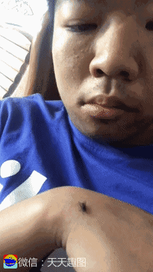 搞笑gif神评:鼻子都塌了吧,心疼伴娘一分钟