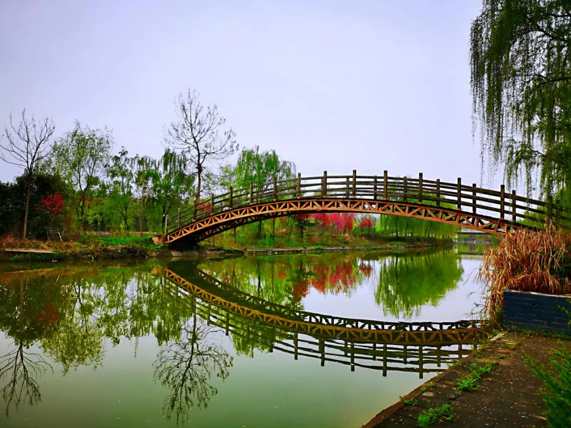 �ԷǷ��¾�ƽ������δ��Ϊ����ʦ������3000Ķ��ѧ���Ͷ���������