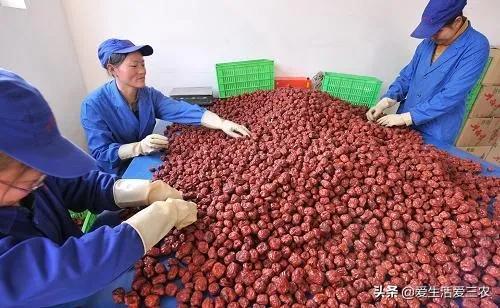 除了种养业，农村还有什么赚钱好门路？试试这些好项目吧