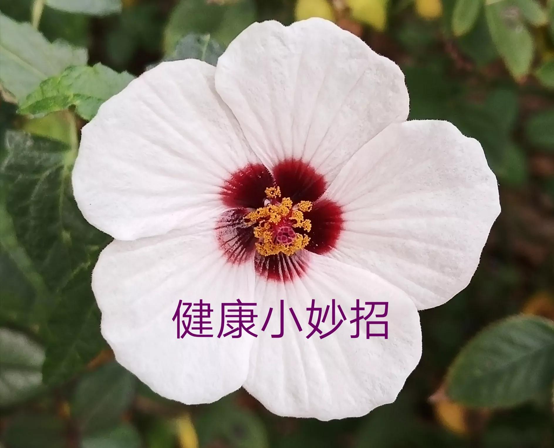 有益健康的行为