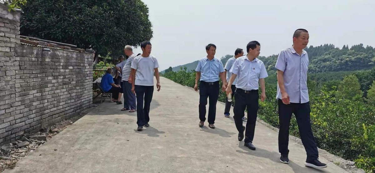 格桑花与百日菊共同的花语