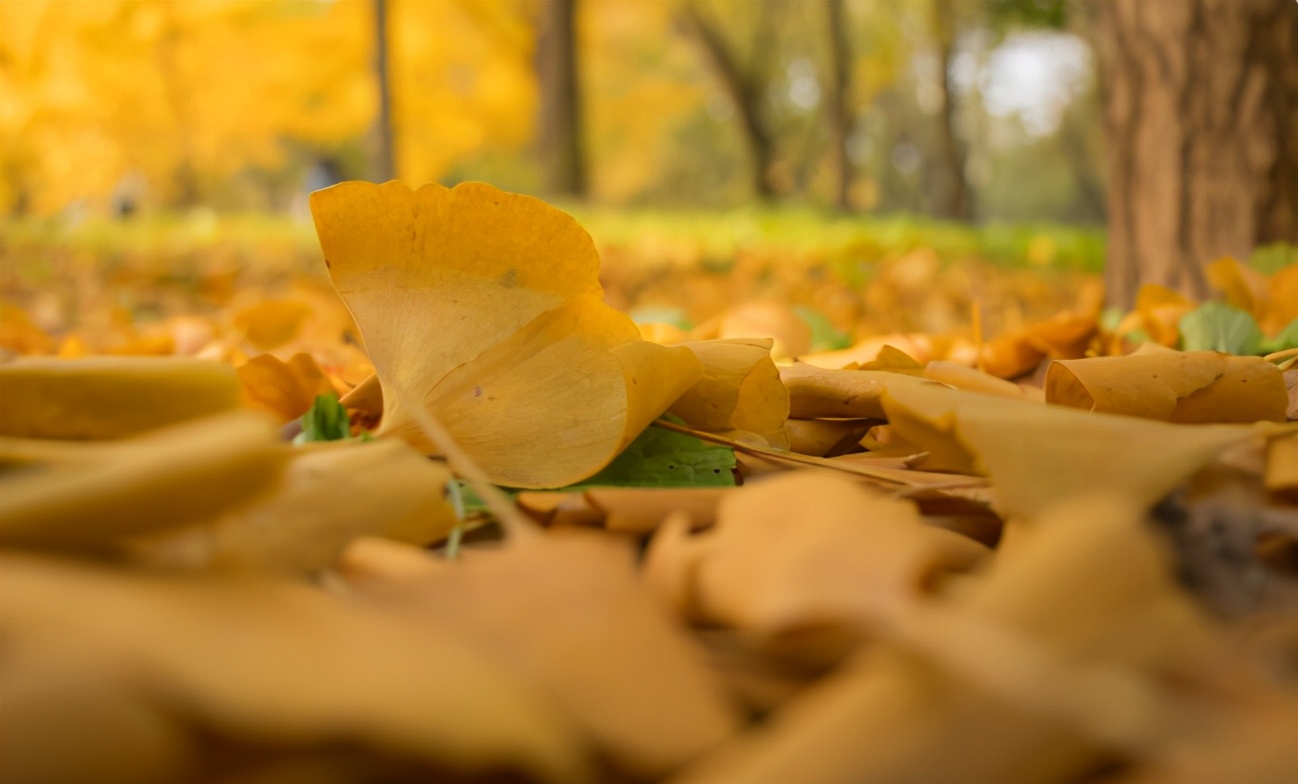 家有四樣，不富也旺