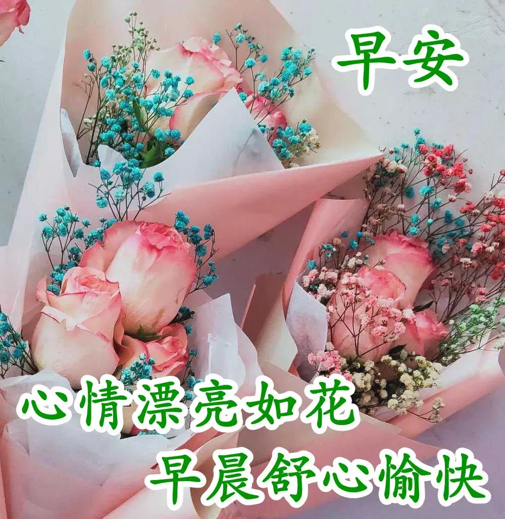 最新的早上问好祝福图片带字，最真诚的早安问候美图图片
