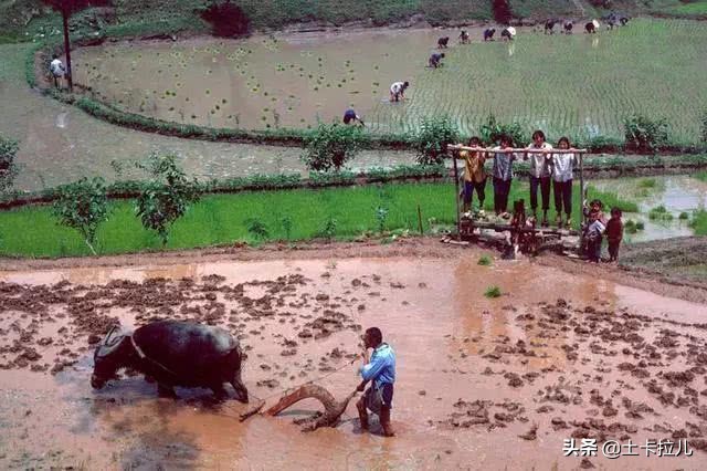 最全的80年代老照片，張張都是回憶