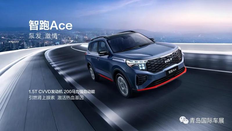 展位图出炉！60+新车首发！2021秋季车展近千台展车集结