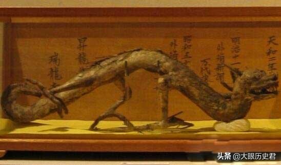 解读现代坠龙事件，真龙究竟是虚幻还是真有其事?