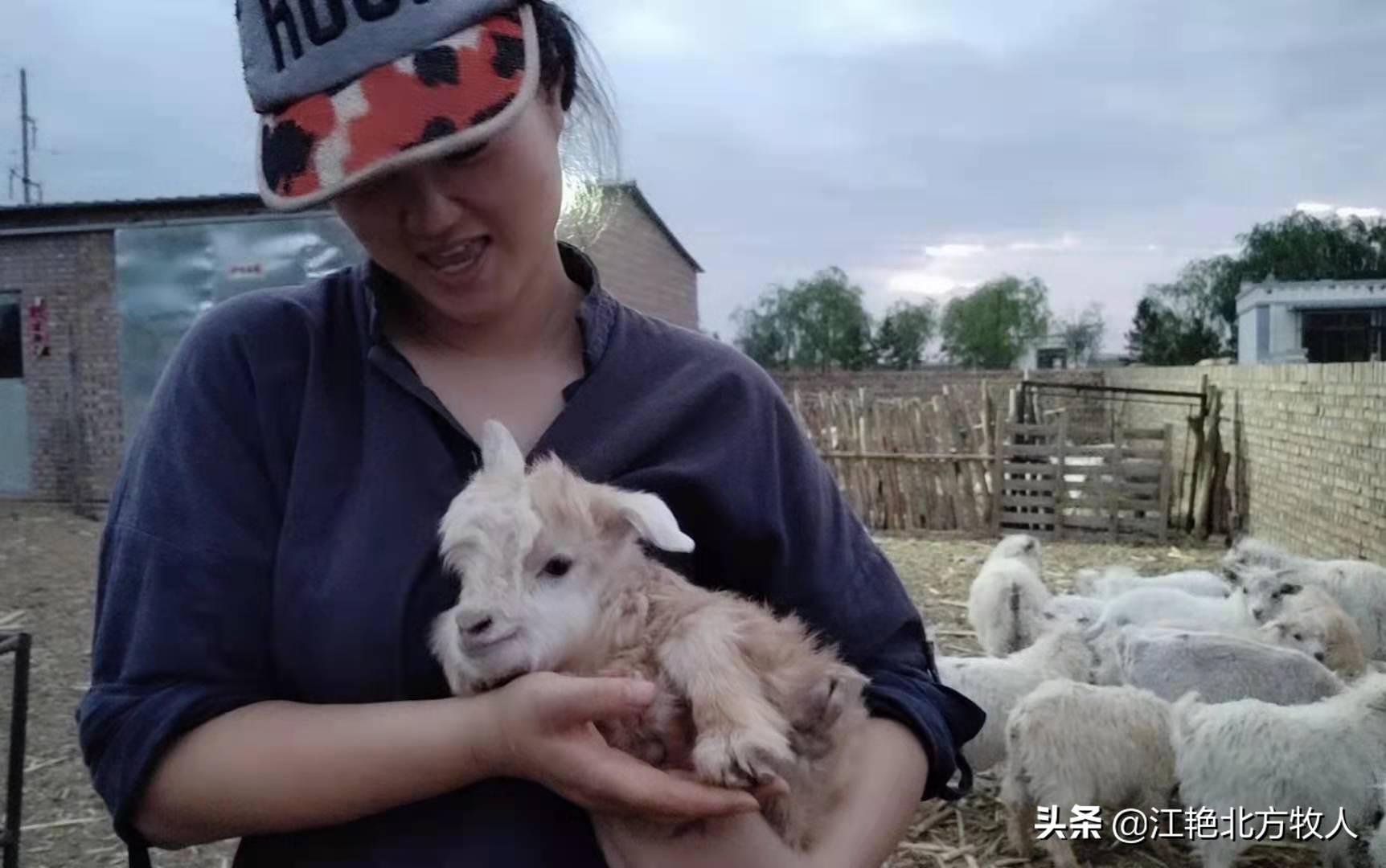 靠養(yǎng)殖到底能不能致富？江艷實(shí)話實(shí)說(shuō)，再聽(tīng)聽(tīng)她的致富經(jīng)