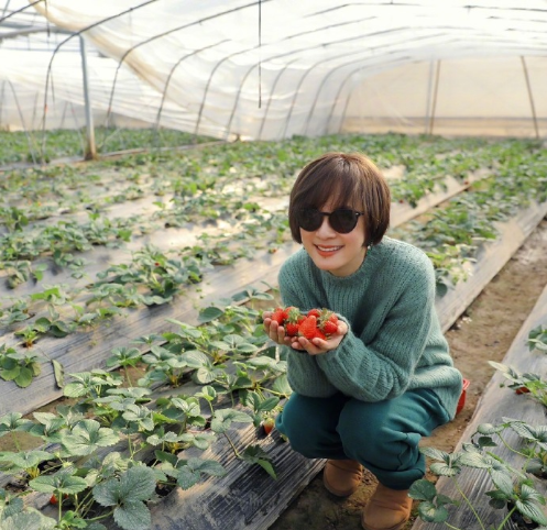 邓超夫妇携子女摘草莓，孙俪穿全绿造型减龄，