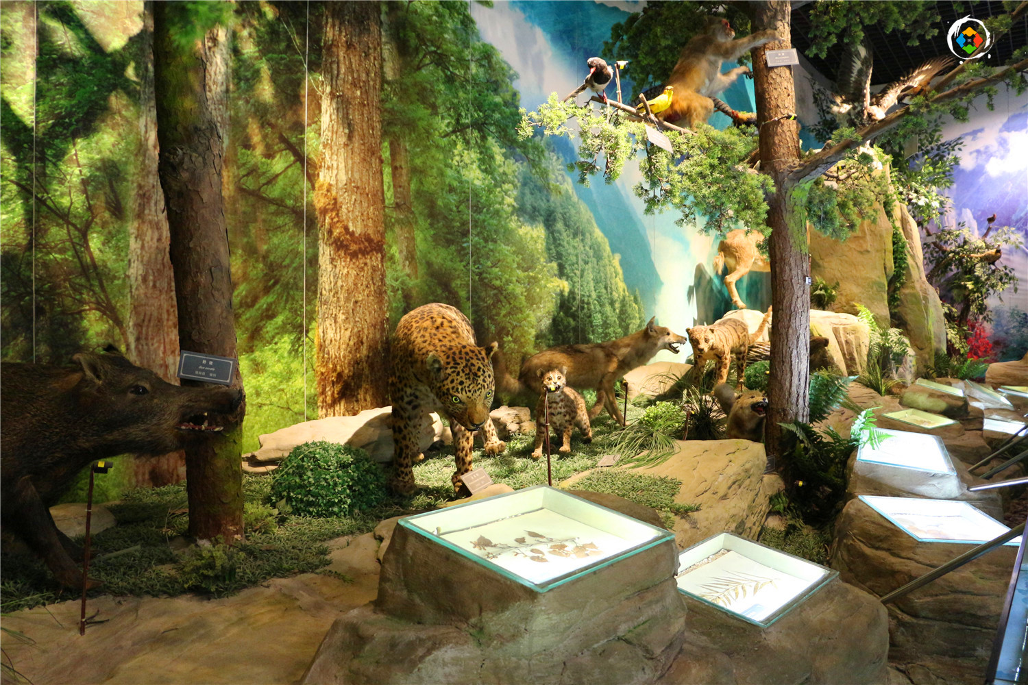 重庆智慧旅游示范区公布，36个景点都是熟面孔，究竟怎么智能？