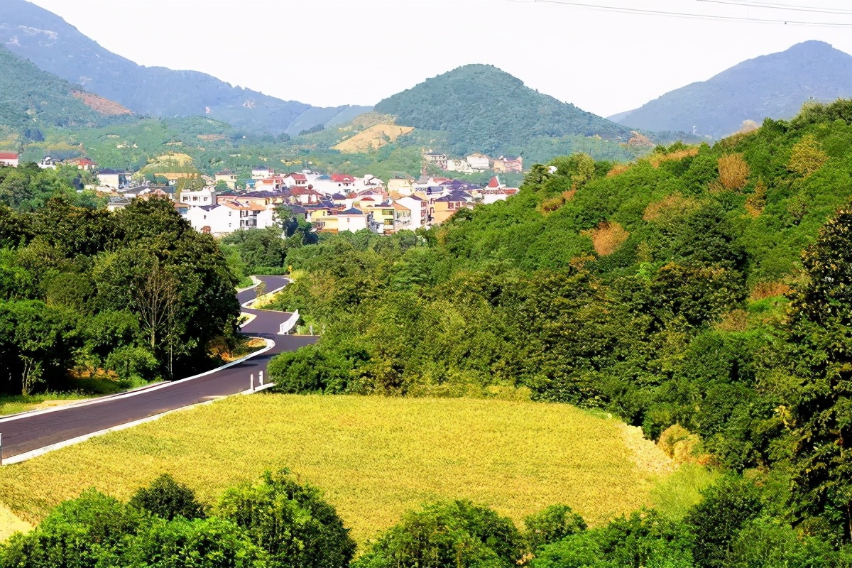 「文旅案例」“公司村农场”模式，6年时间村整体资产增添300多倍