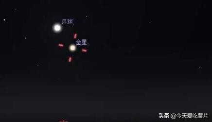 金星合月 火星冲日将在明天上演 其他 蛋蛋赞