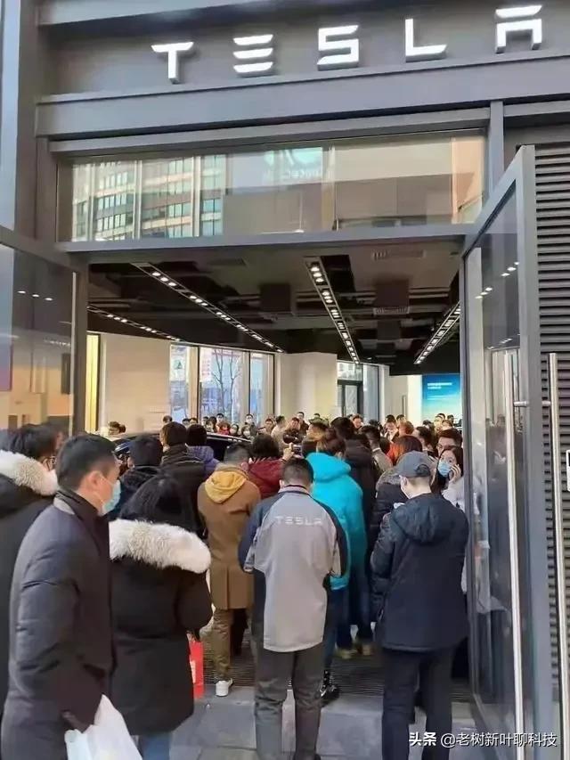 被背后一刀，特斯拉成为价格屠夫，中国新能源汽车路在何方