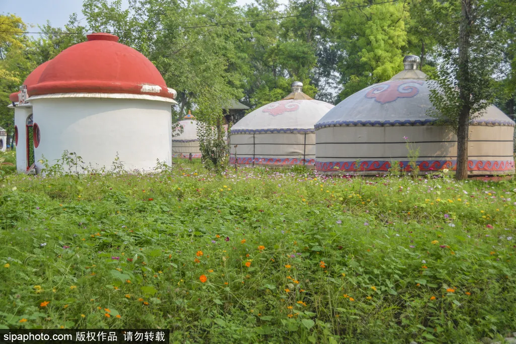免門票!森林公園裡藏著個“小內蒙古”,還免費停車~