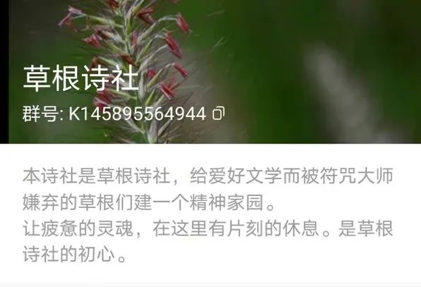 被互联网隐藏的60万快手作诗人