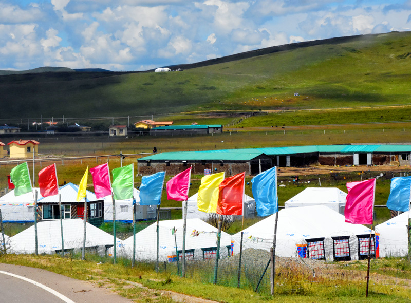 四川旅游：走进阿坝州红原大草原（图）