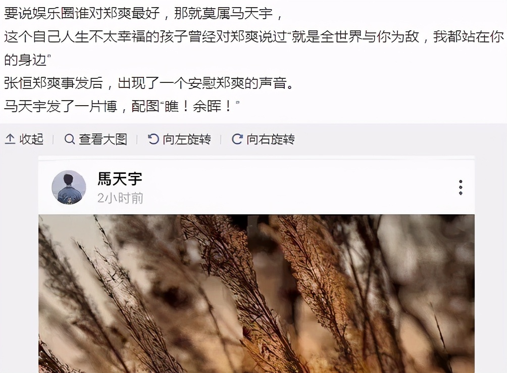 張恒終審敗訴，鄭爽沉冤得雪？只有這位男閨蜜對(duì)她不離不棄