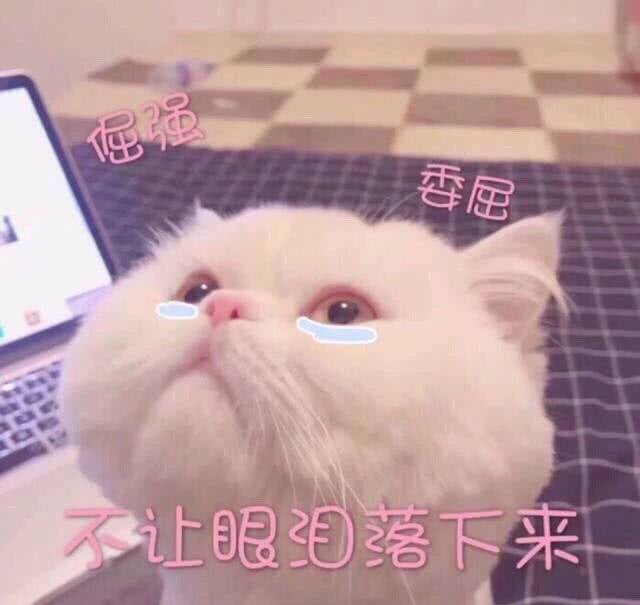 孤独 落寞的图片我一个人挺好