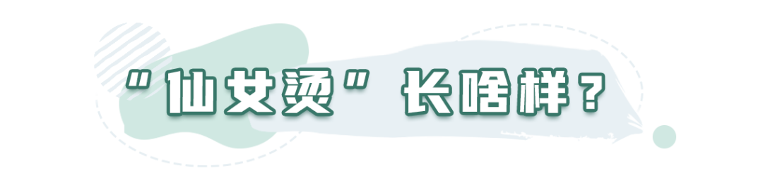挂耳染过时了！今春流行“仙女烫”，减龄又洋气