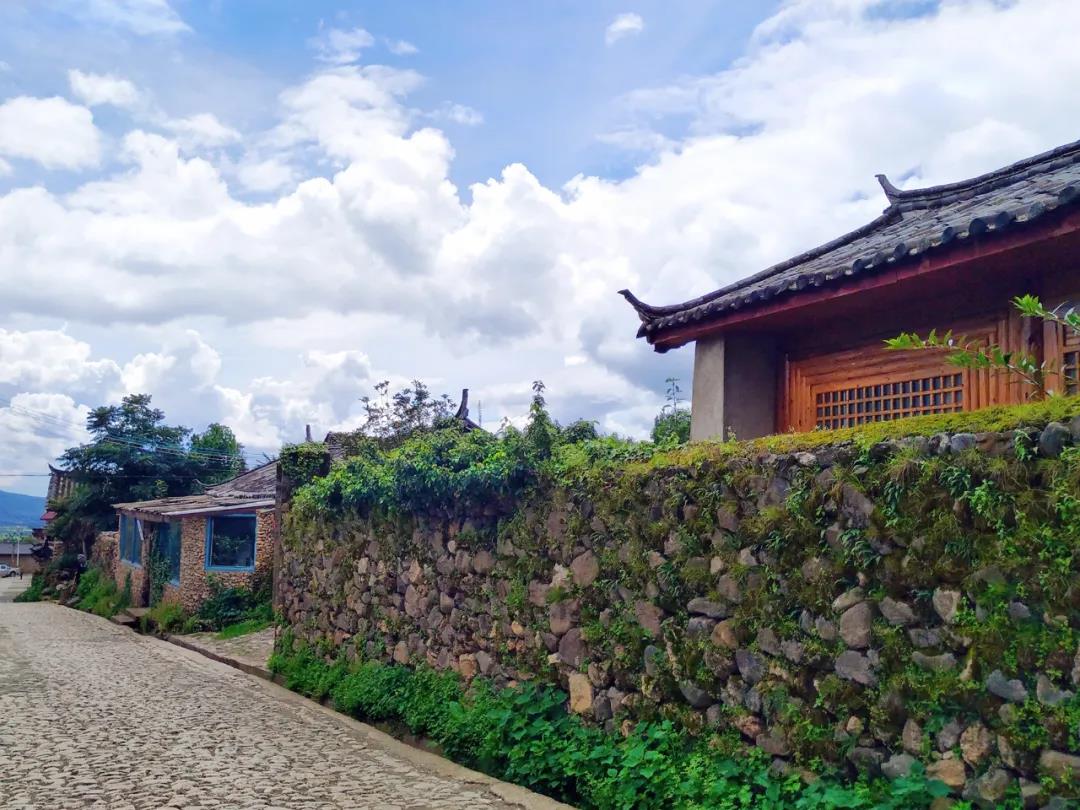 The village of Lijiang is full of stones. The American botanist has lived here for 27 years and is unmarried all his life.
