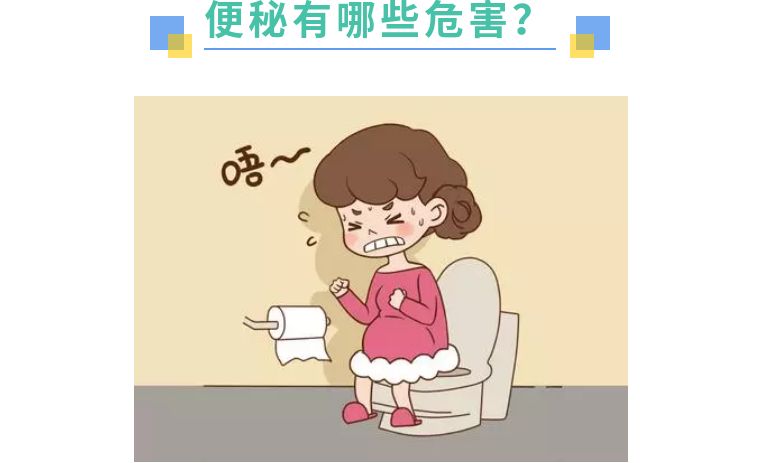 你今天大便了吗？