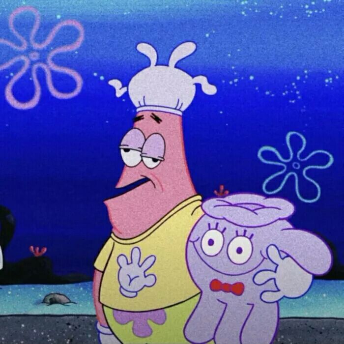 Big star of sponge darling and clique