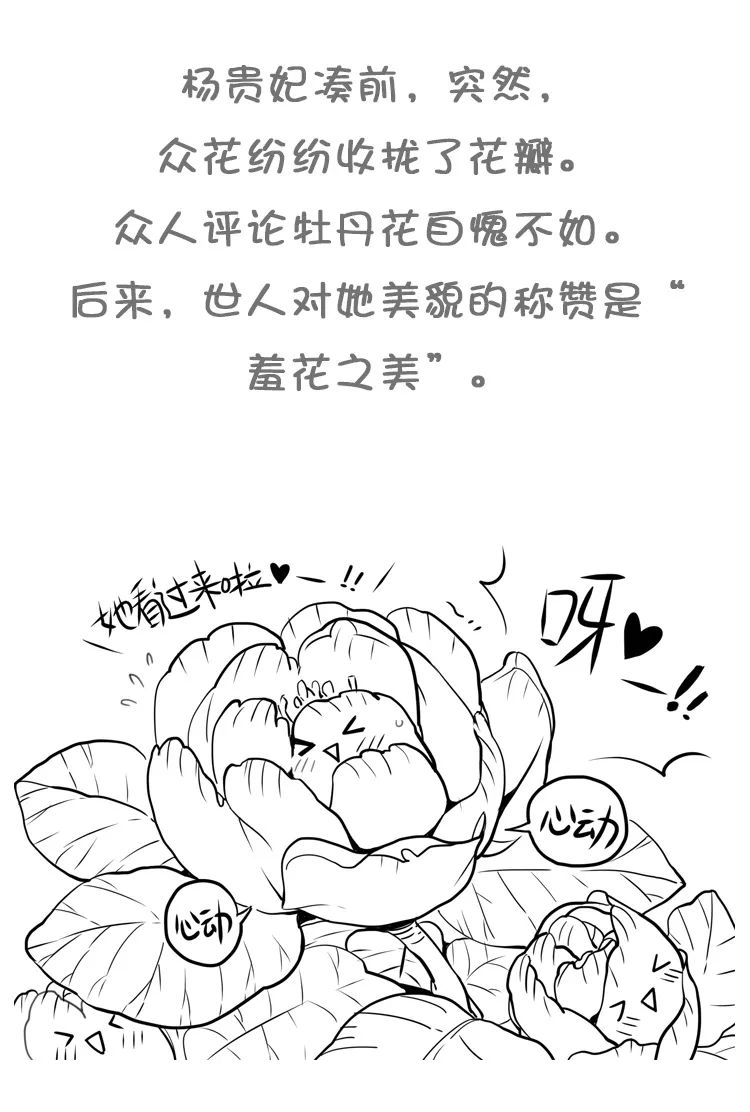 古代四大美女不为人知的生理缺陷，她们是如何掩人耳目的？-第14张图片-大千世界
