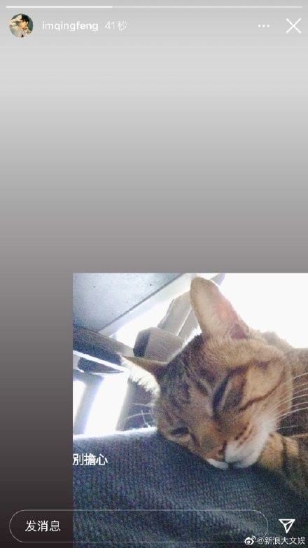 The song that oneself write does not belong to him however, forest issue of copyright of sagacious of    of green peak forest who will win out? 