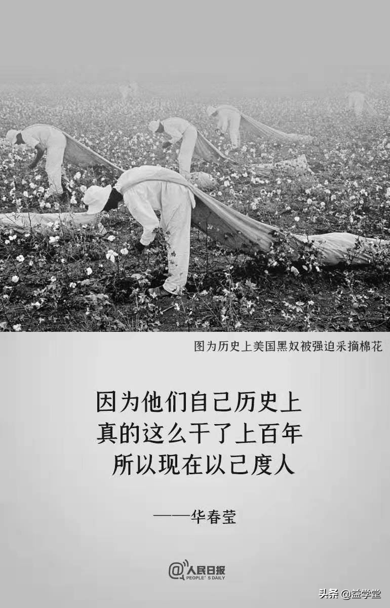 他们为什么要拿新疆棉花做文章？纺织服装行业