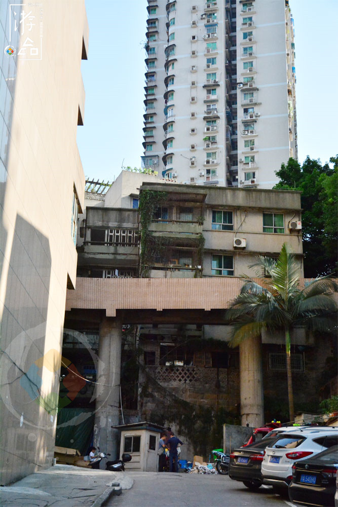 “漂在”重庆码头边的花市：位置偏僻环境差，但价格是主城最低的