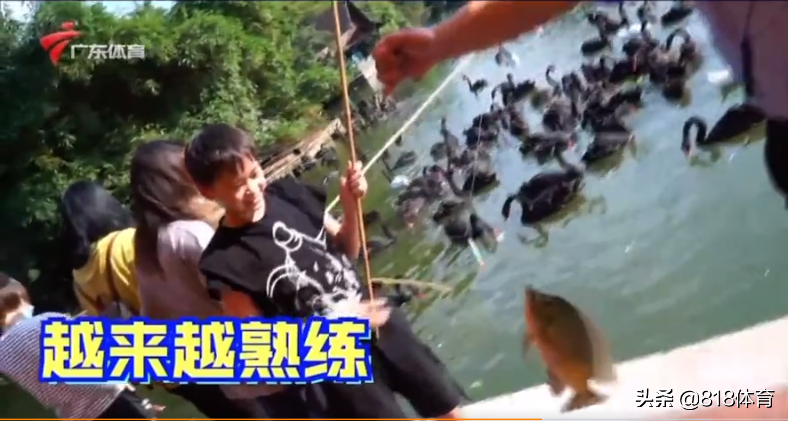 海王!全红婵长隆动物园一口气钓9条鱼,打破园区纪录嘚瑟:我厉害吗