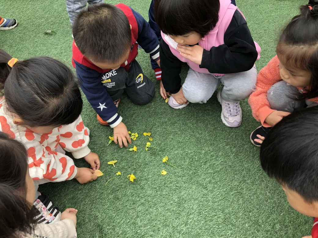 “小游戏”和“大课程”丨天府新区华阳幼儿园户外课程研究组活动