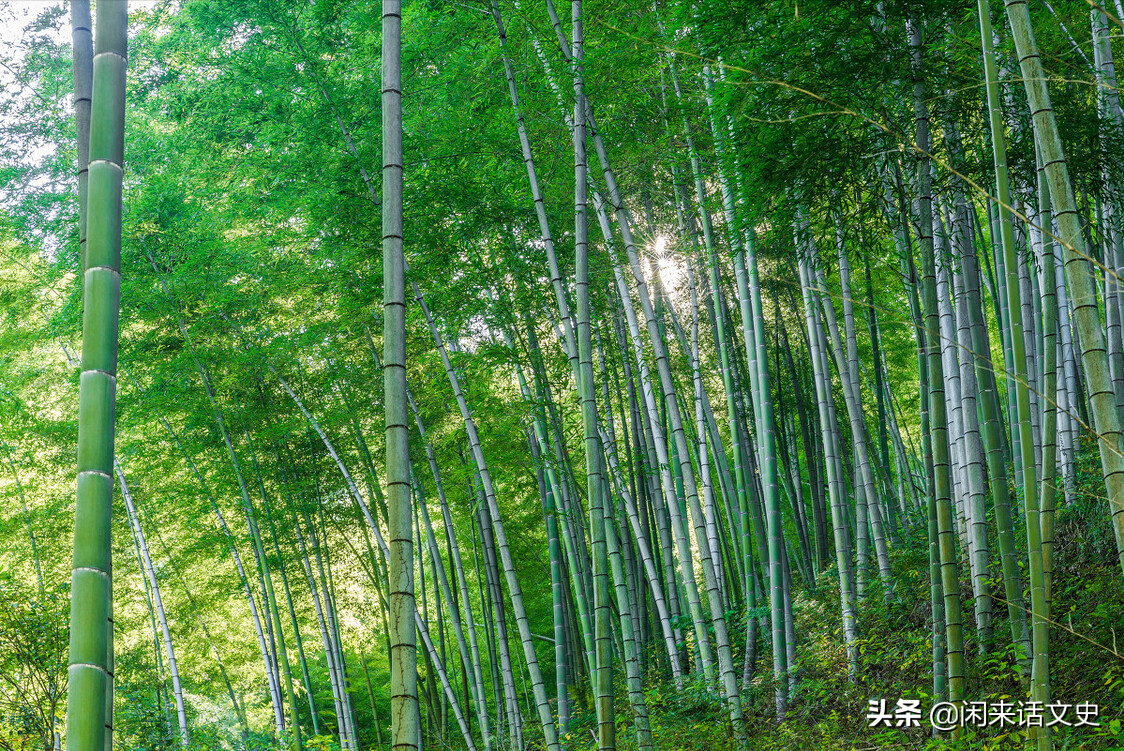 百花开过，草长莺飞，春天渐行渐远，读读写暮春的四首经典唐诗-第5张图片-非凡网