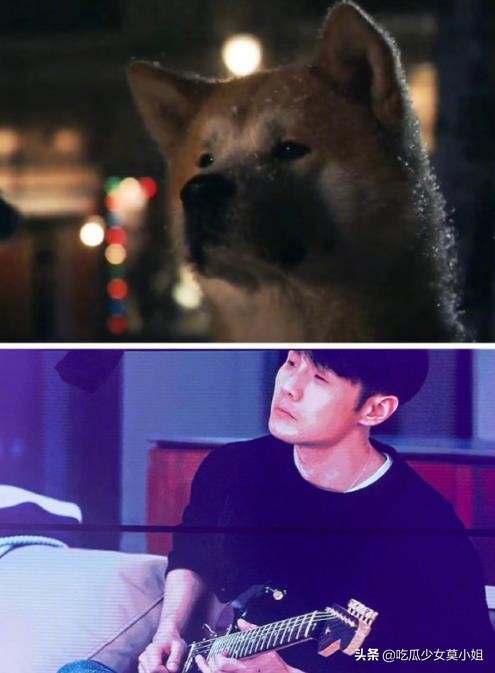 终于|杨丞琳李荣浩终于见面了 结束300天异地状态太难得