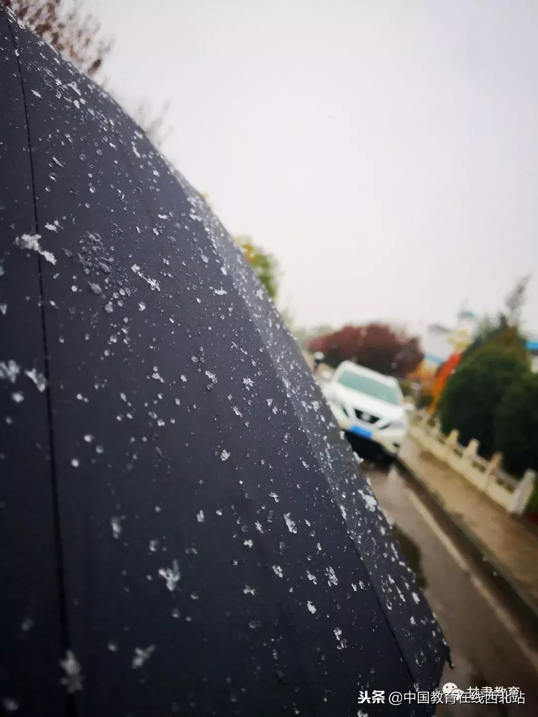 甘肃初雪|甘肃18所高校初学雪景大PK,快来看看有你的母校没?